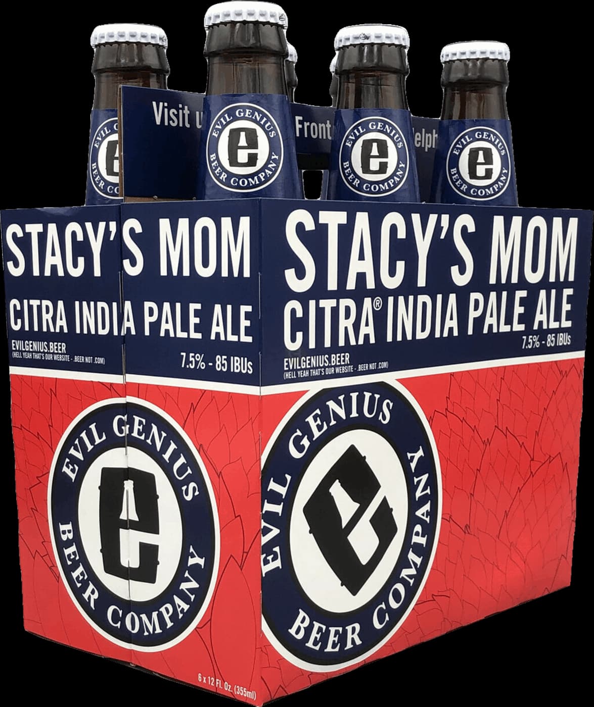 Evil Genius Stacy's Mom